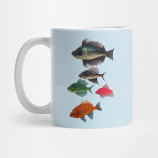 Fishes Mug